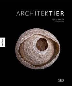 Ingo Arndt - Architektier