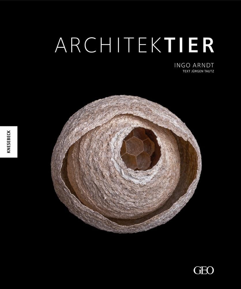 Arndt, Ingo – Architektier